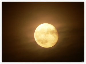 La nuit du poète