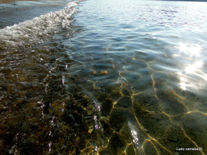 Etoiles à la mer