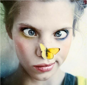 Le papillon, un heureux quidam.