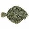 Logo Poissons plats